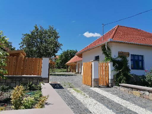 Csendülő *